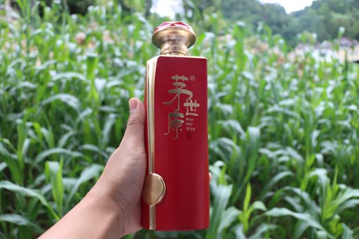 低档白酒加盟代理赚钱吗多少钱