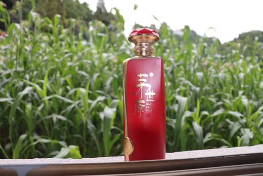 代理一款白酒要多少钱