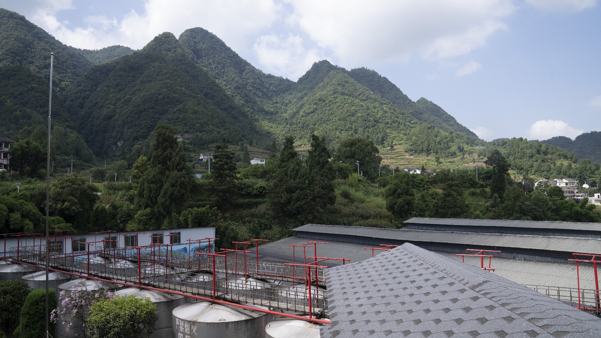 如何鉴别茅台镇最美酱香酒