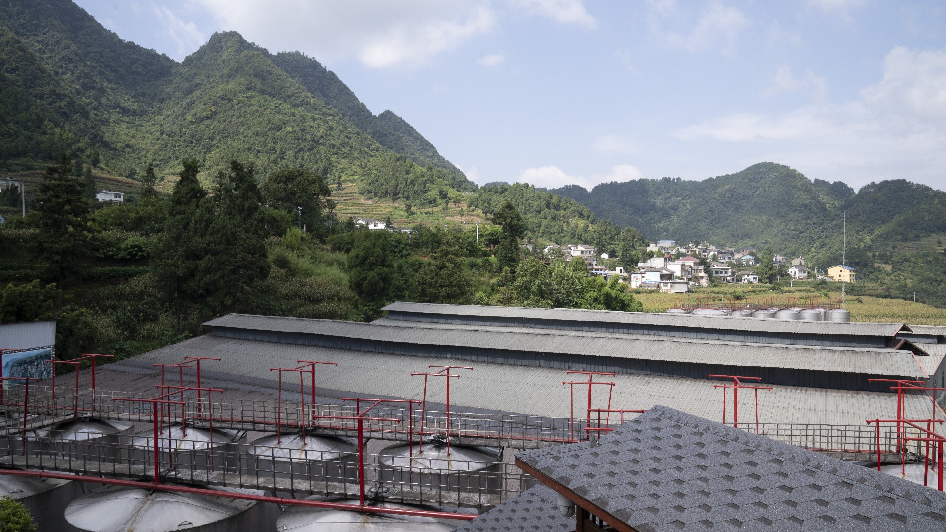 仁怀茅台镇酱香酒在哪里买