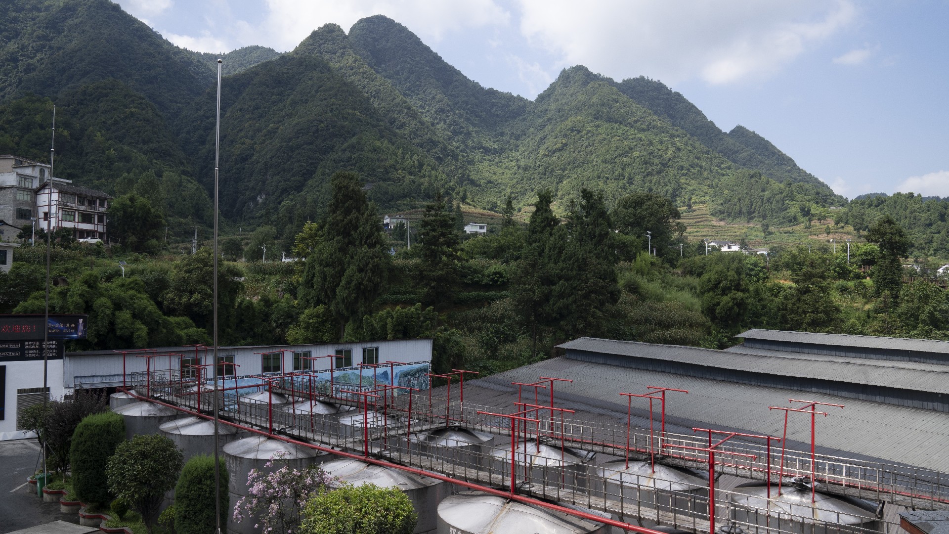 如何辨认茅台镇酱香酒真假
