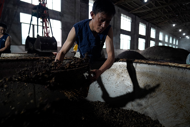 枝江白酒加盟代理,如何加盟枝江白酒代理 代理方案全面解析
