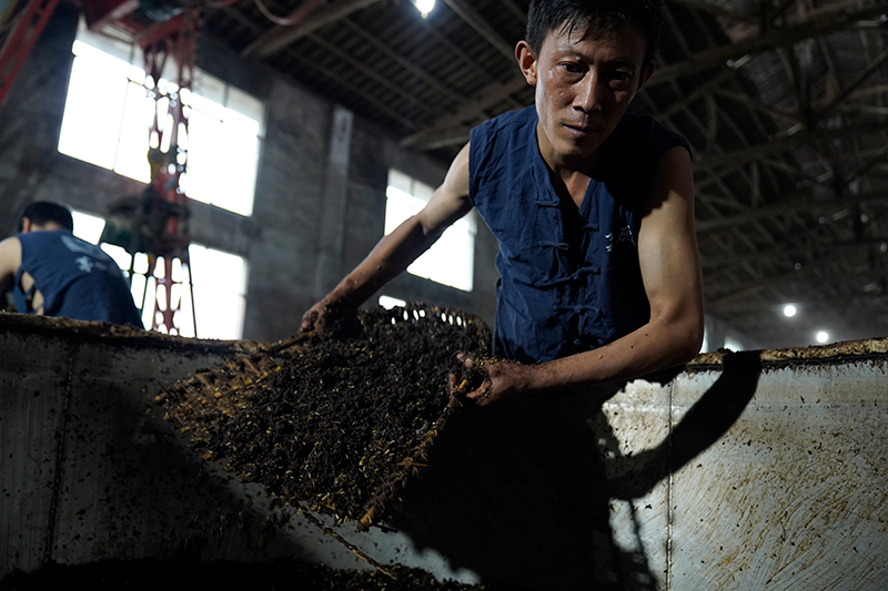 云小白酒代理,如何代理云小白酒高效解决方案分享