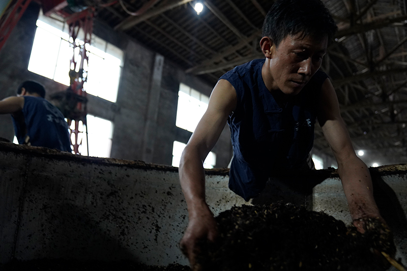 白酒县城代理(白酒县城代理如何突破瓶颈创新方案助您成功)