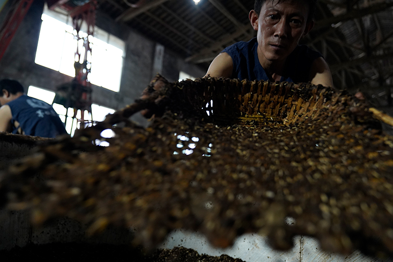 成都西凤白酒代理(如何在成都代理西凤白酒 这里有专业解决方案指南)