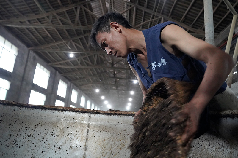 合肥米香型白酒代理如何代理合肥米香型白酒一站式解决方案