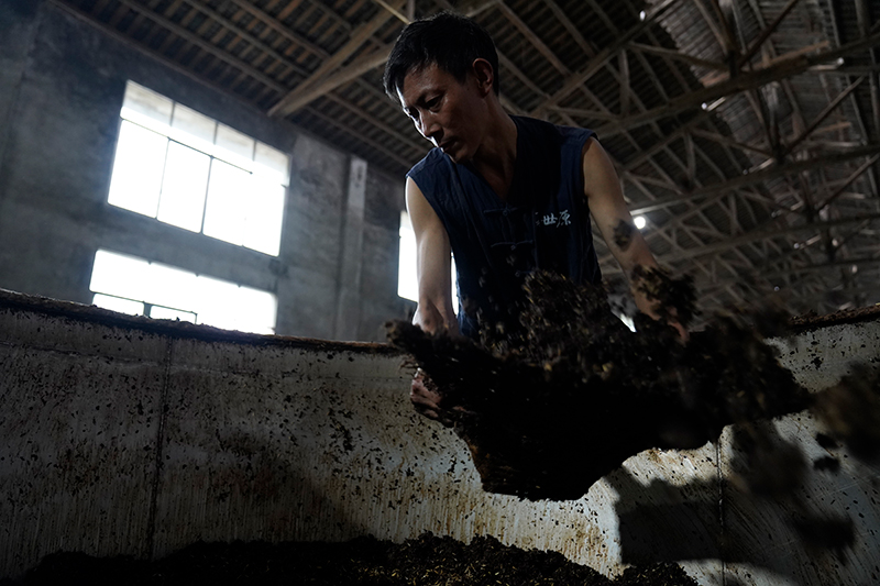 白酒怎样代理-白酒怎样代理：成功代理实战策略指南