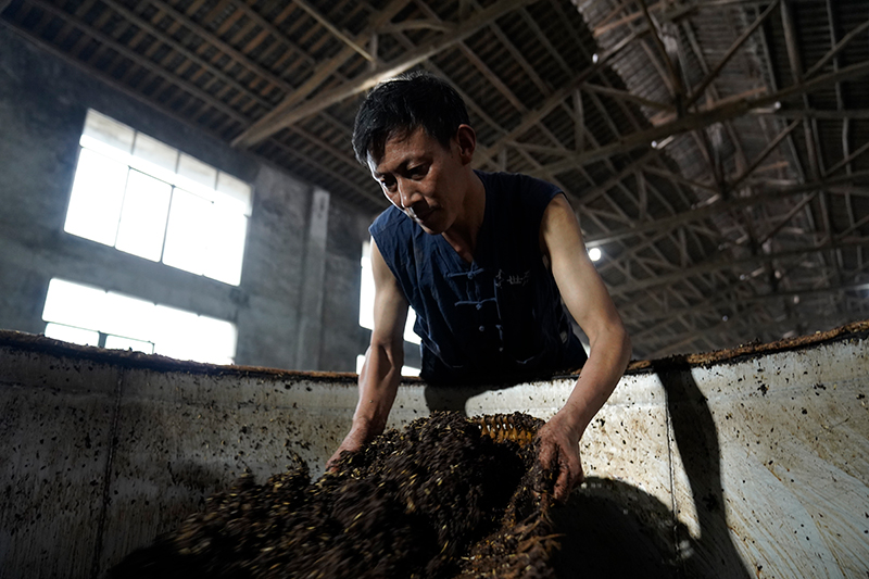 剑南春白酒代理(剑南春白酒代理准入条件全解析)