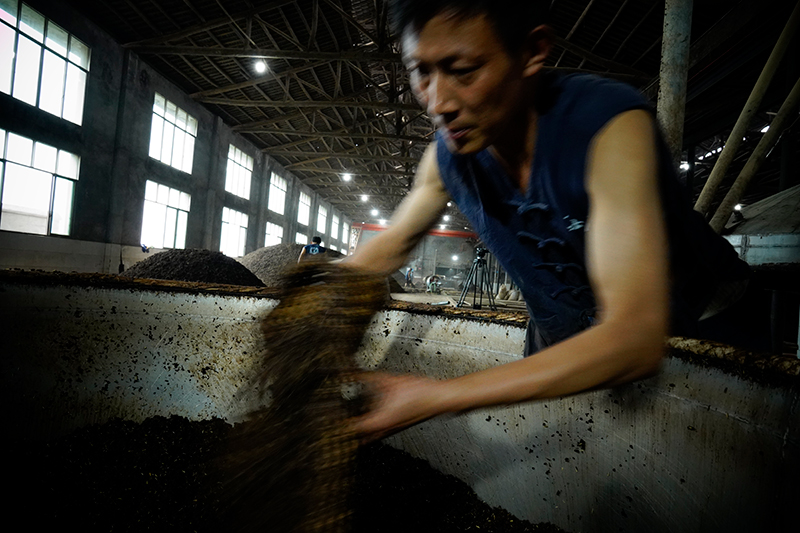 奋斗梦白酒代理、奋斗梦白酒代理如何成功 实用方案助您腾飞