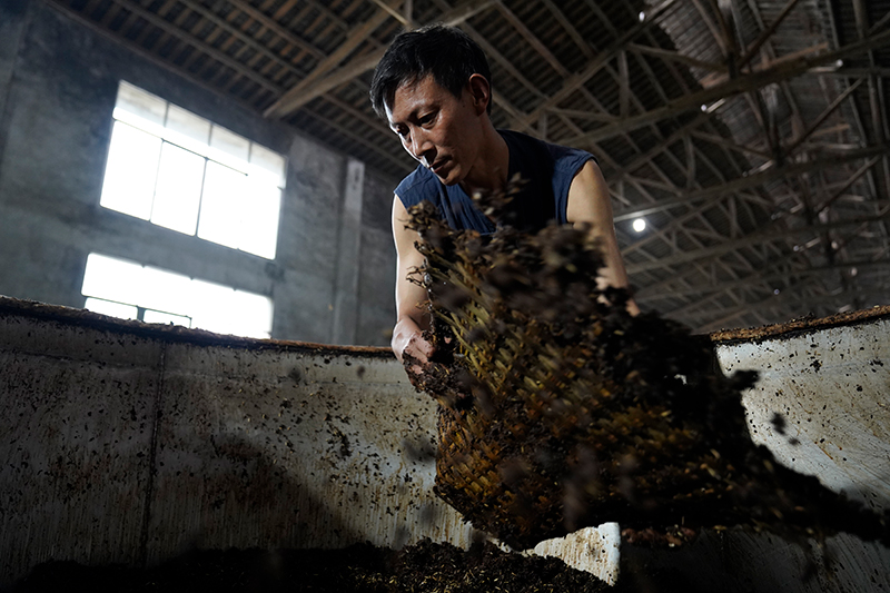 江小白酒怎么代理,如何代理江小白酒独家指南