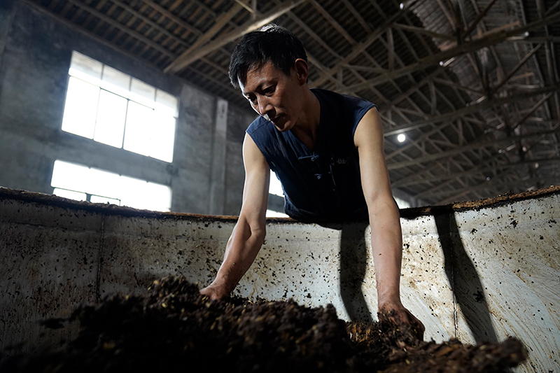泸州白酒代理商_泸州白酒代理商如何突破市场瓶颈创新分销策略指南