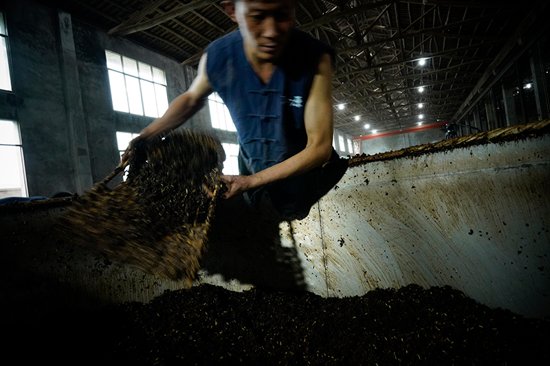 河南泸州白酒代理—河南泸州白酒代理消费习惯与避坑策略解析