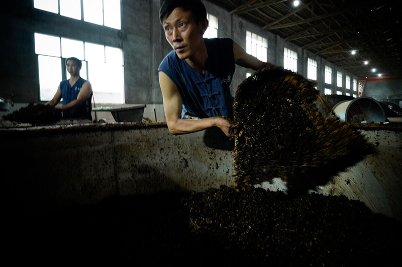 拉萨纯粮食白酒代理;怎样代理拉萨纯粮食白酒专业方案轻松入行