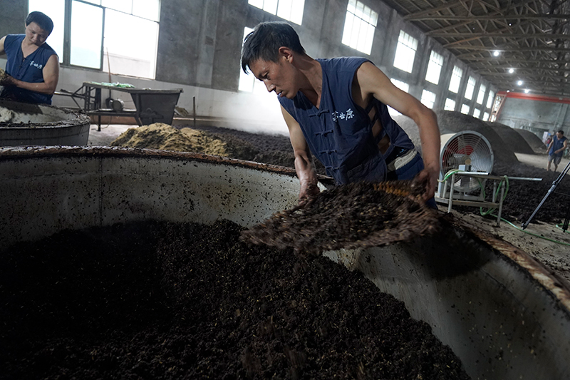 江小白酒地区代理—如何成为江小白酒地区代理的成功策略