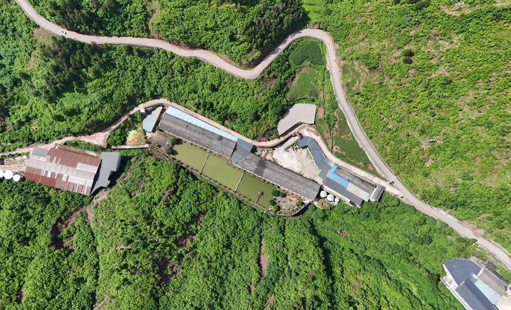 1761728953125972.png 0111.png