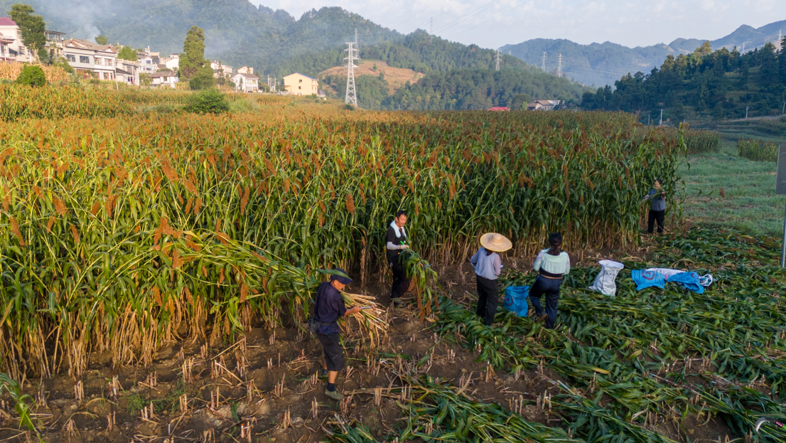 1761729033677254.png 044.png