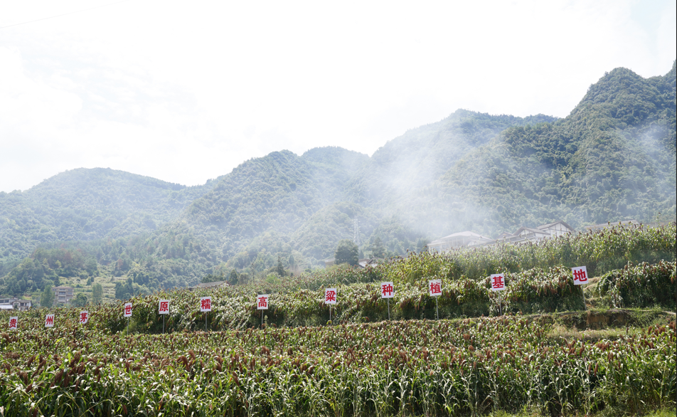 1761729107530360.png ScreenShot_2025-10-29_171137_400.png