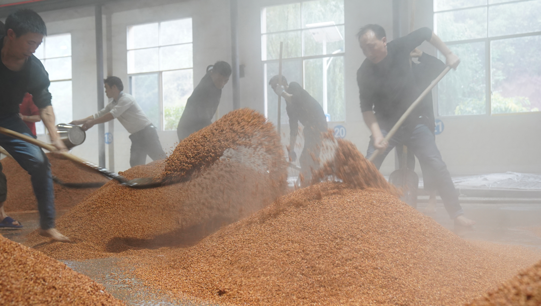 1761729128191663.png ScreenShot_2025-10-29_171158_049.png