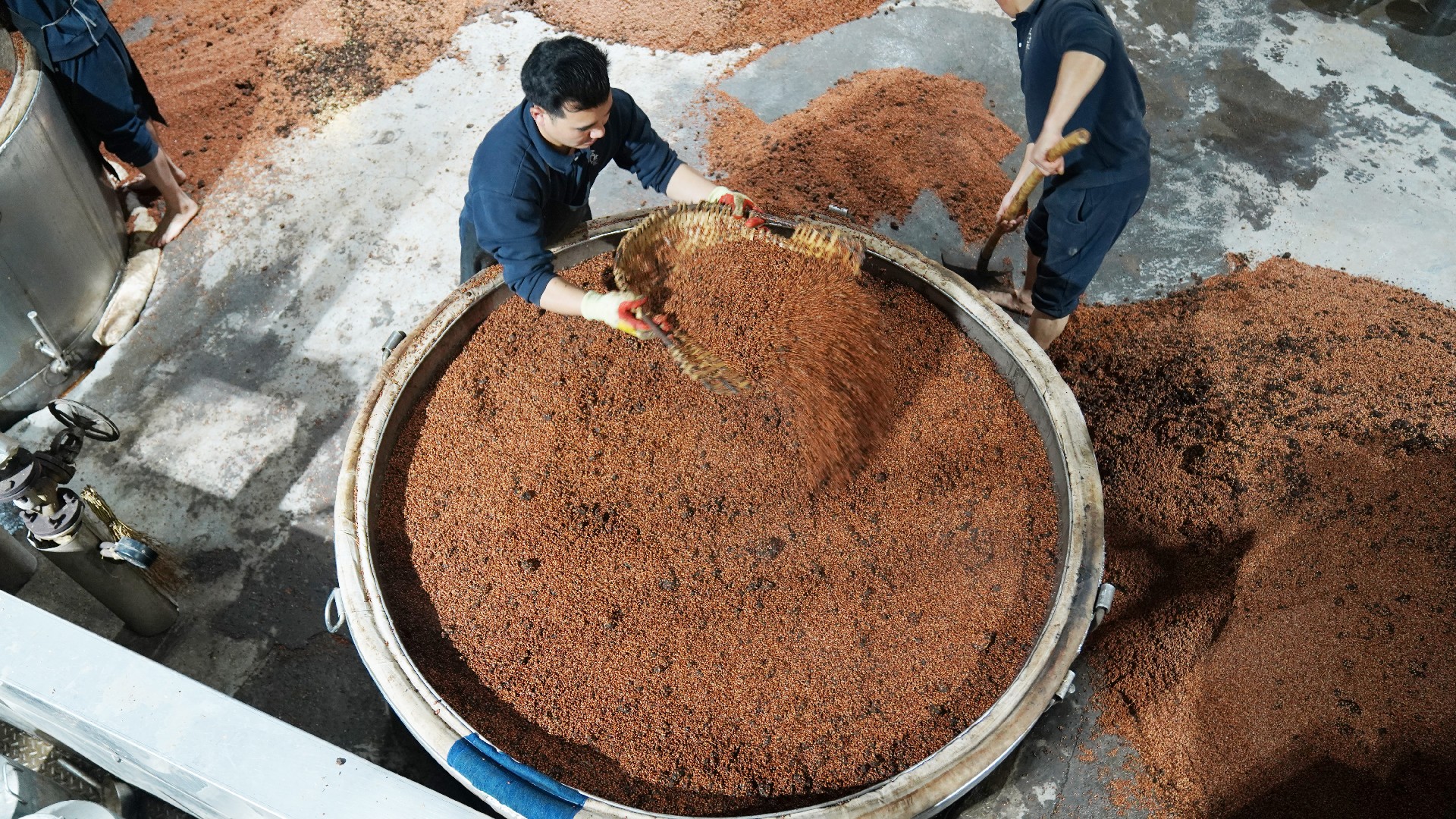 1765352138705936.jpg 05.jpg